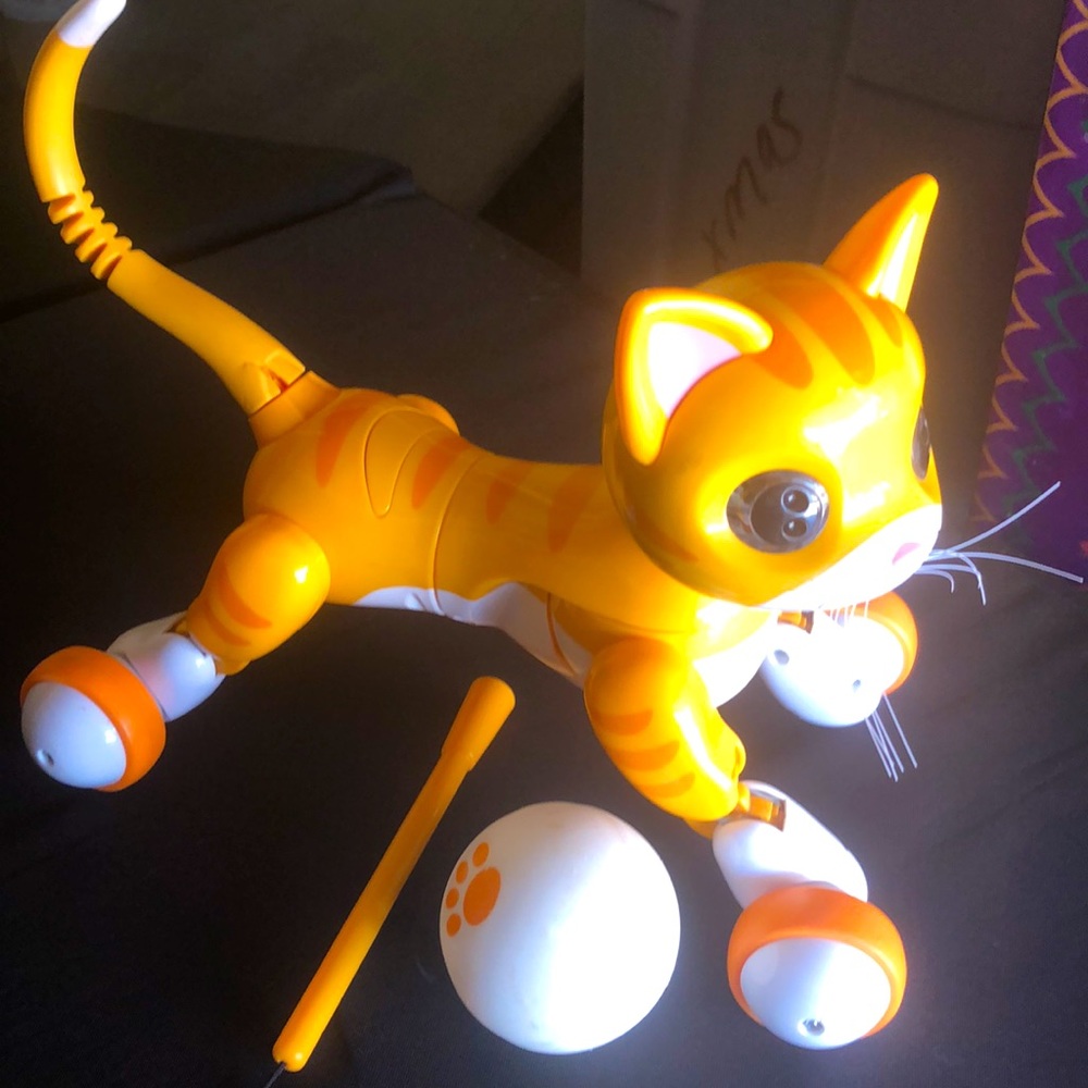 Electronic toy